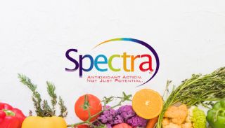 Spectra Marketing Sheet-02